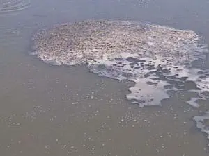 徐州水质在线监测河流水质在线监测系统，全天水质监测